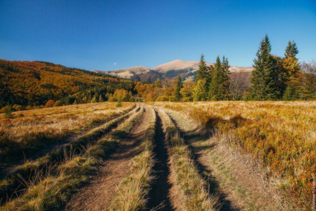 , Ярослав Тюрменко (Jaremi)