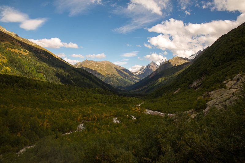 Алибек фото превью
