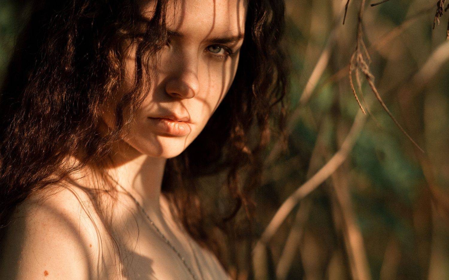 , Нестеренко Александр