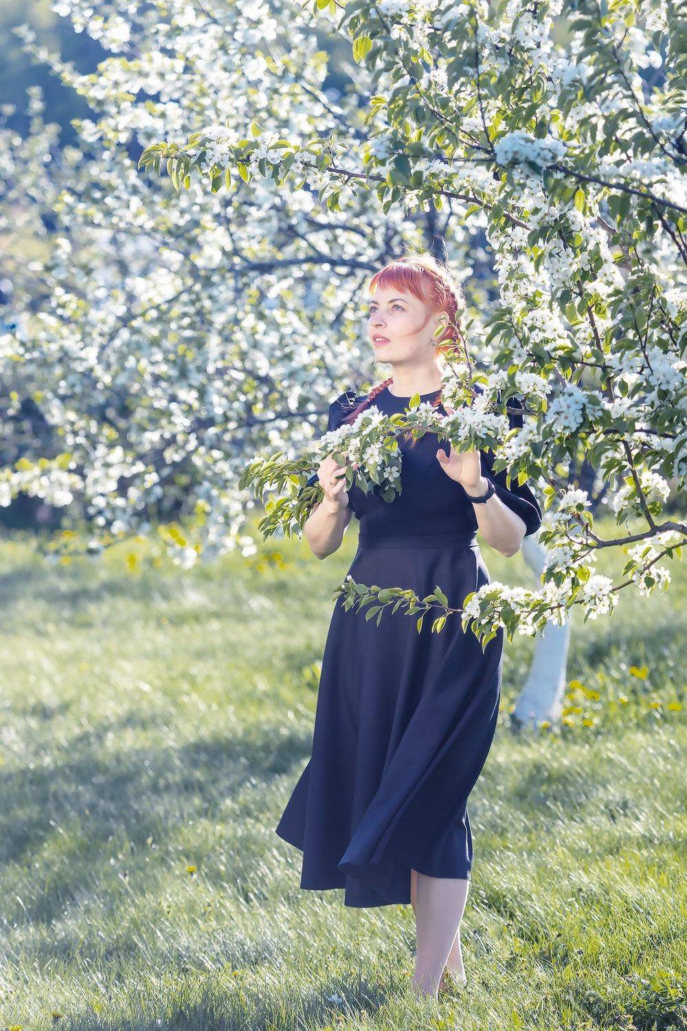 , Дмитрий Счеславский