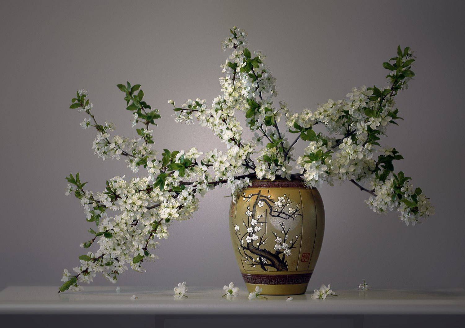 , Ольга Заболотская