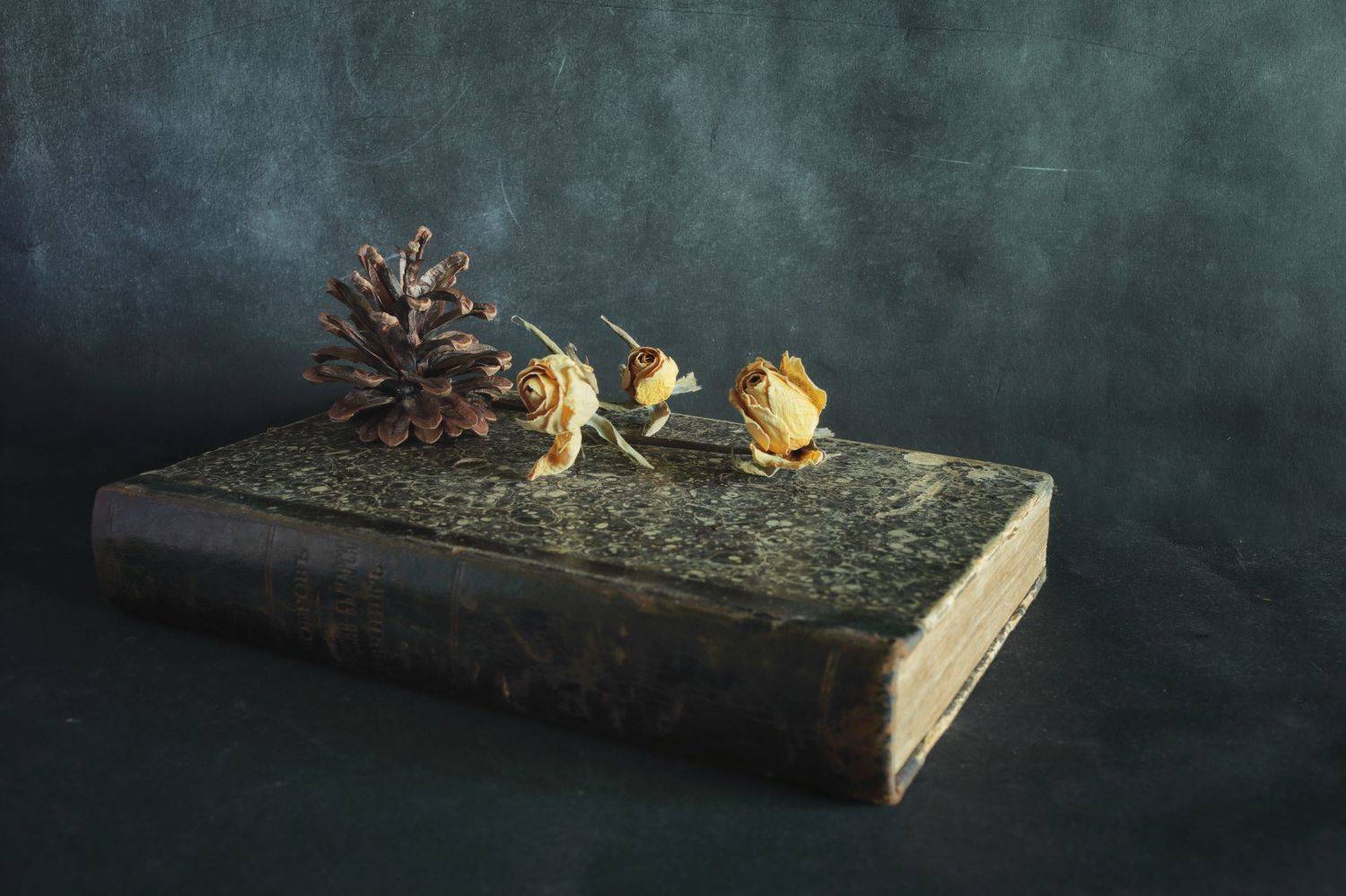 , Димитър Стоянов