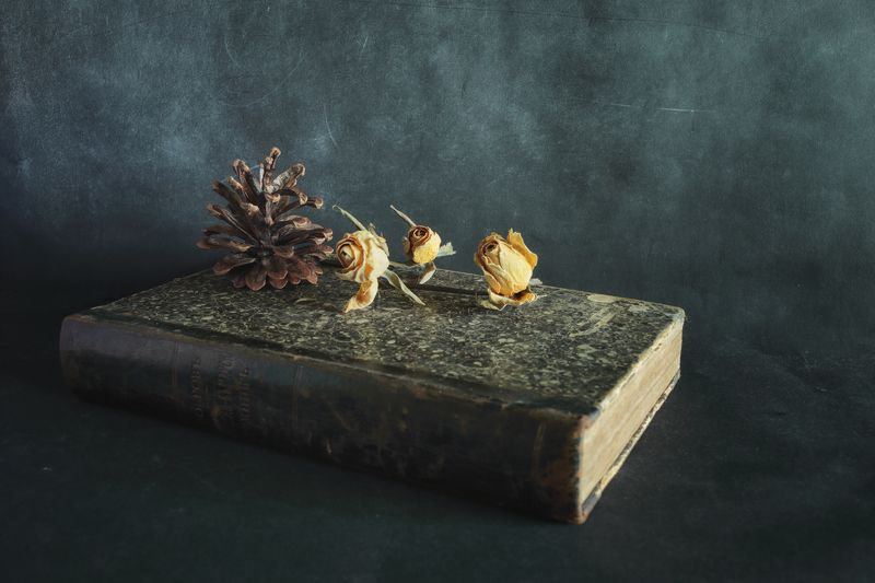 Tired yellow roses фото превью