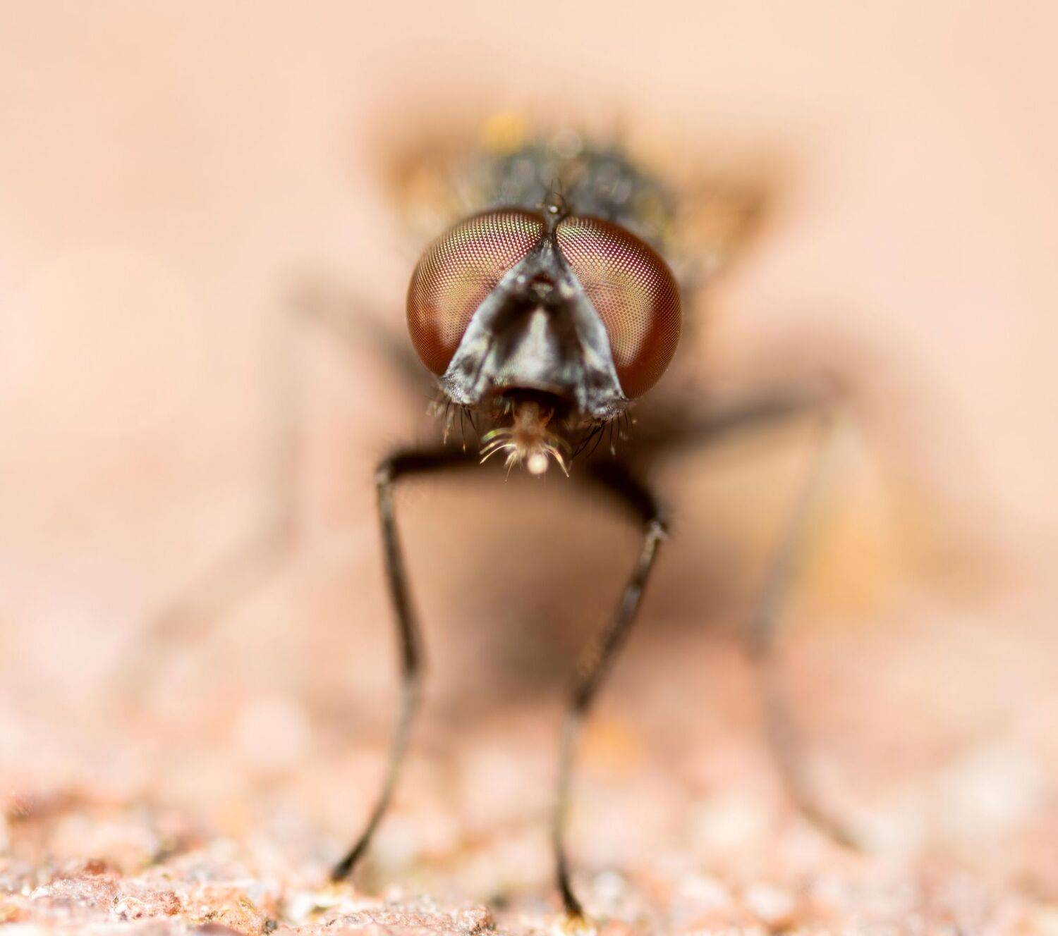 , Котов Андрей