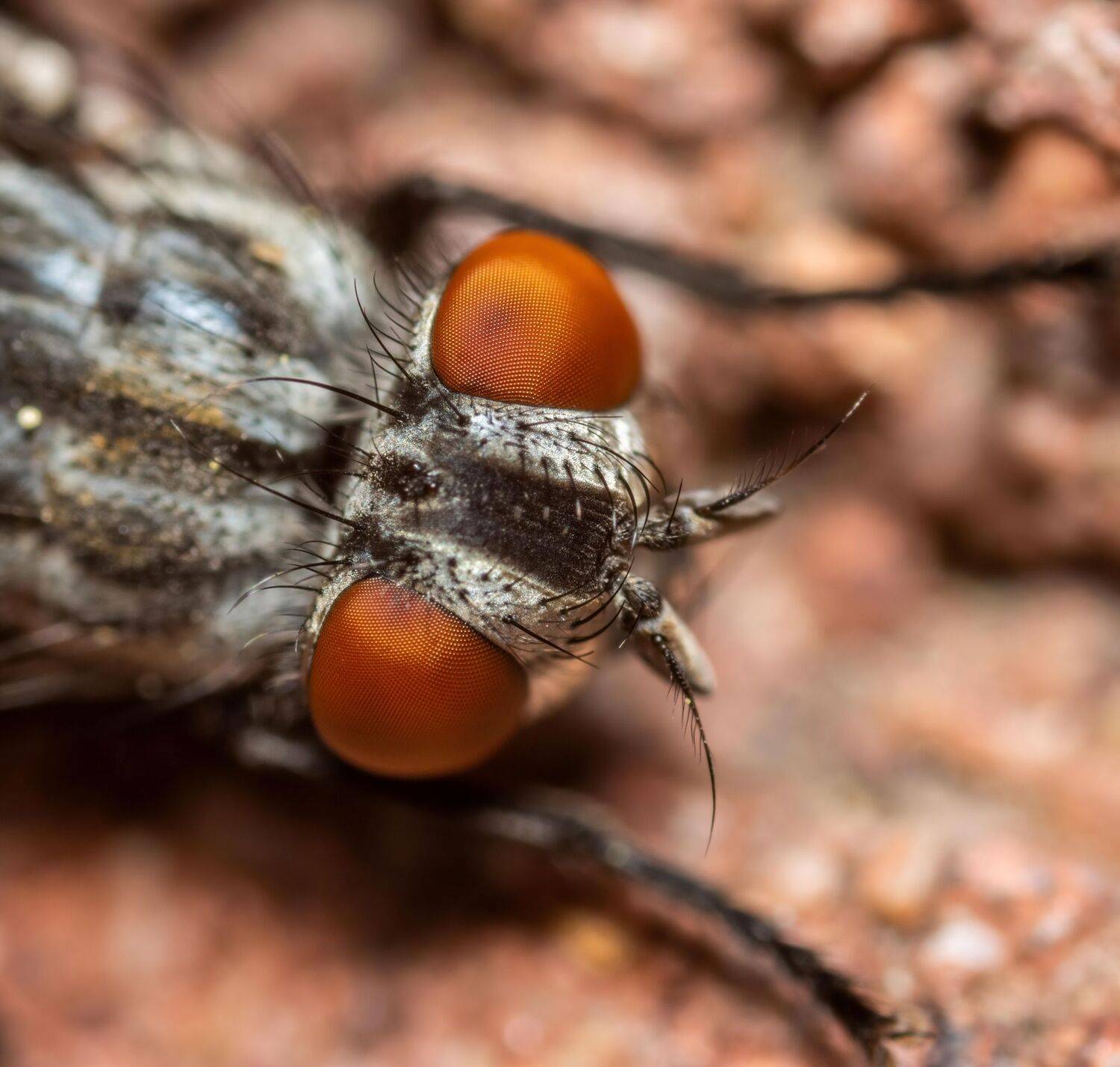 , Котов Андрей