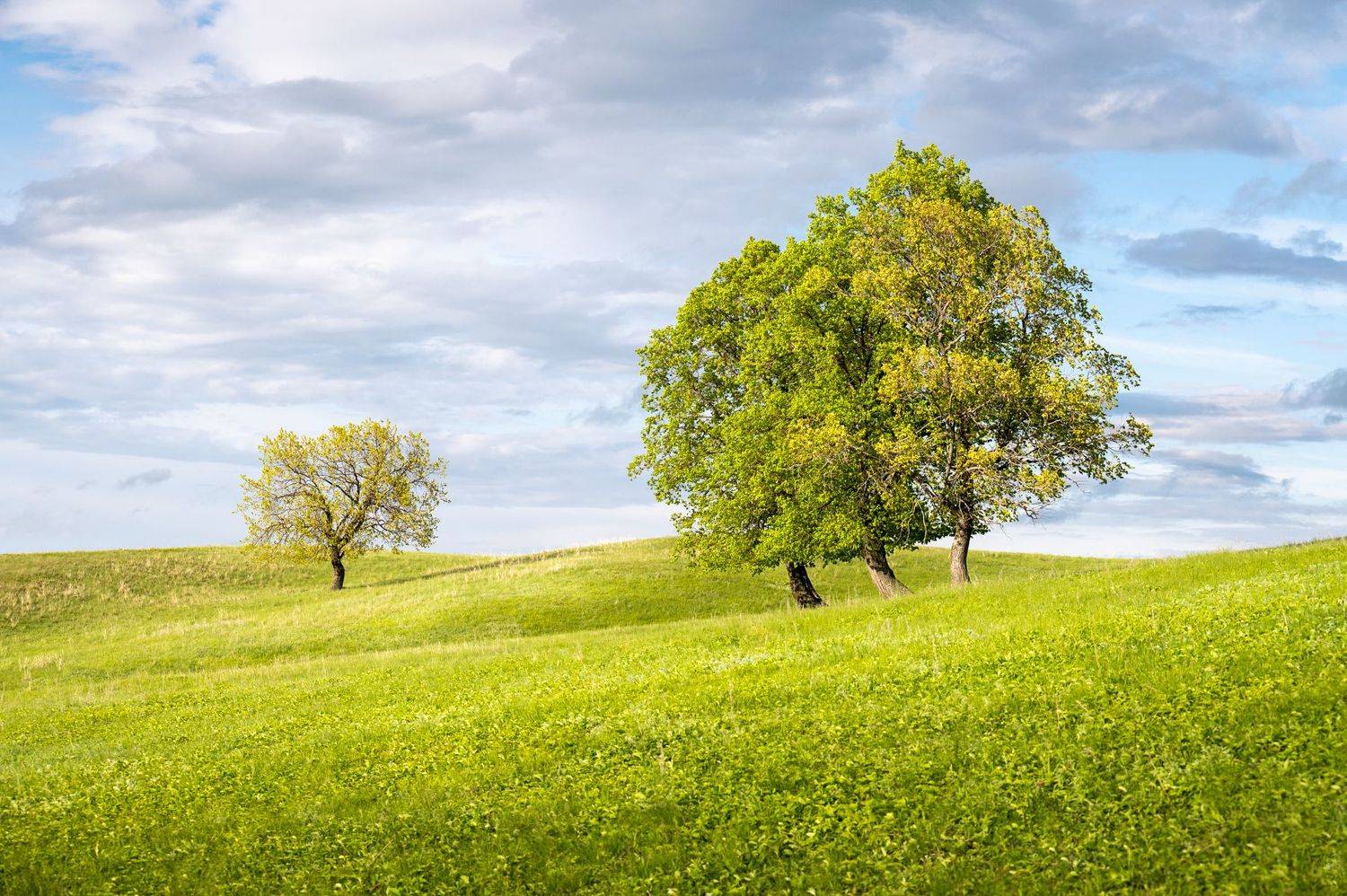 , Евгений Иванов