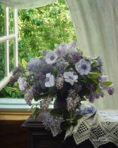 А за окошком - месяц май...