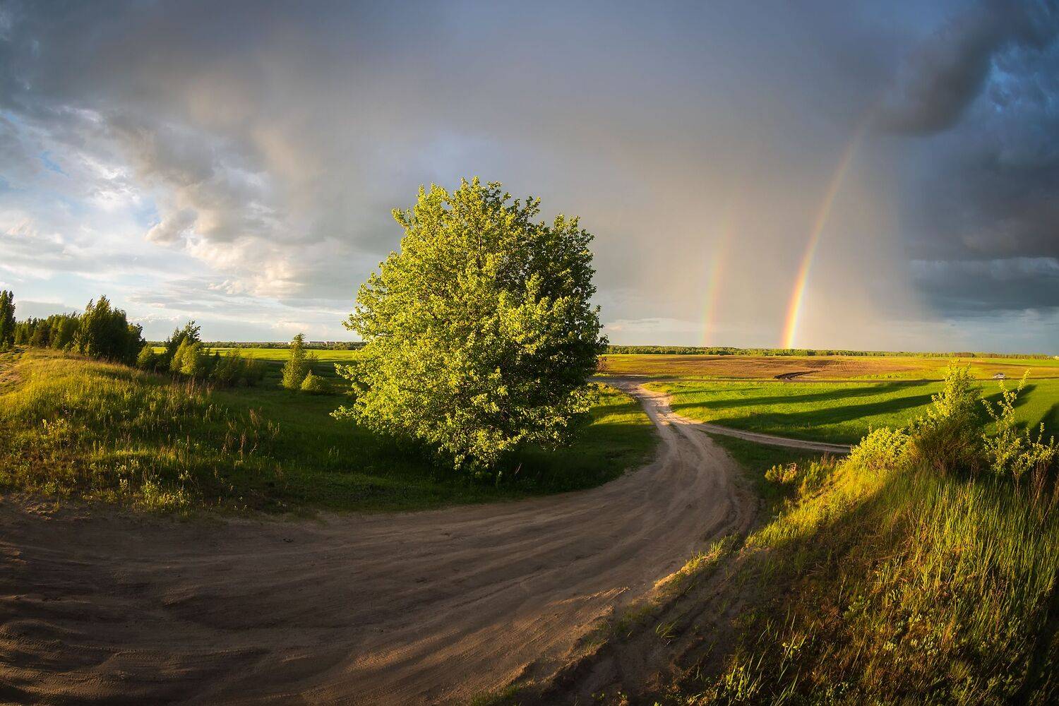 , Захаров Дмитрий