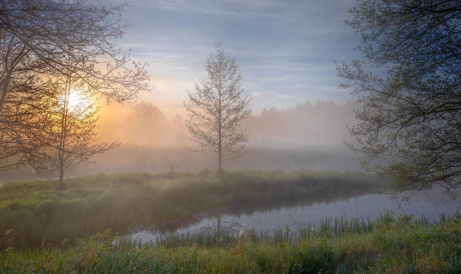 , Руслан Авдевич