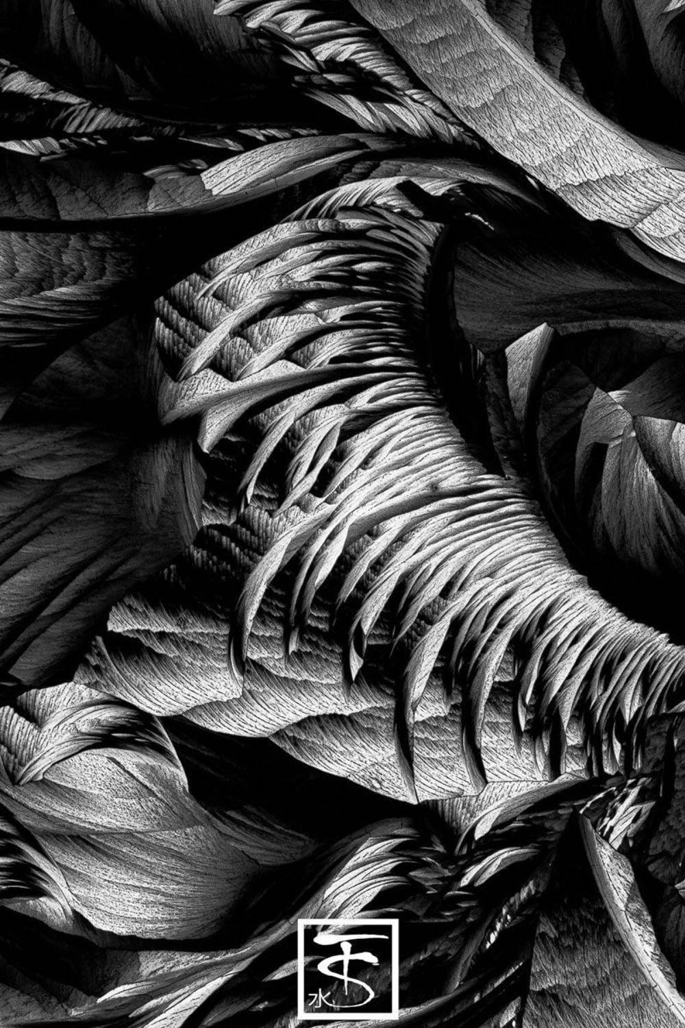 кристаллы, кислоты, кислота, сергей, толмачев, аминокислоты, аминокислота, поляризация, Сергей Толмачев