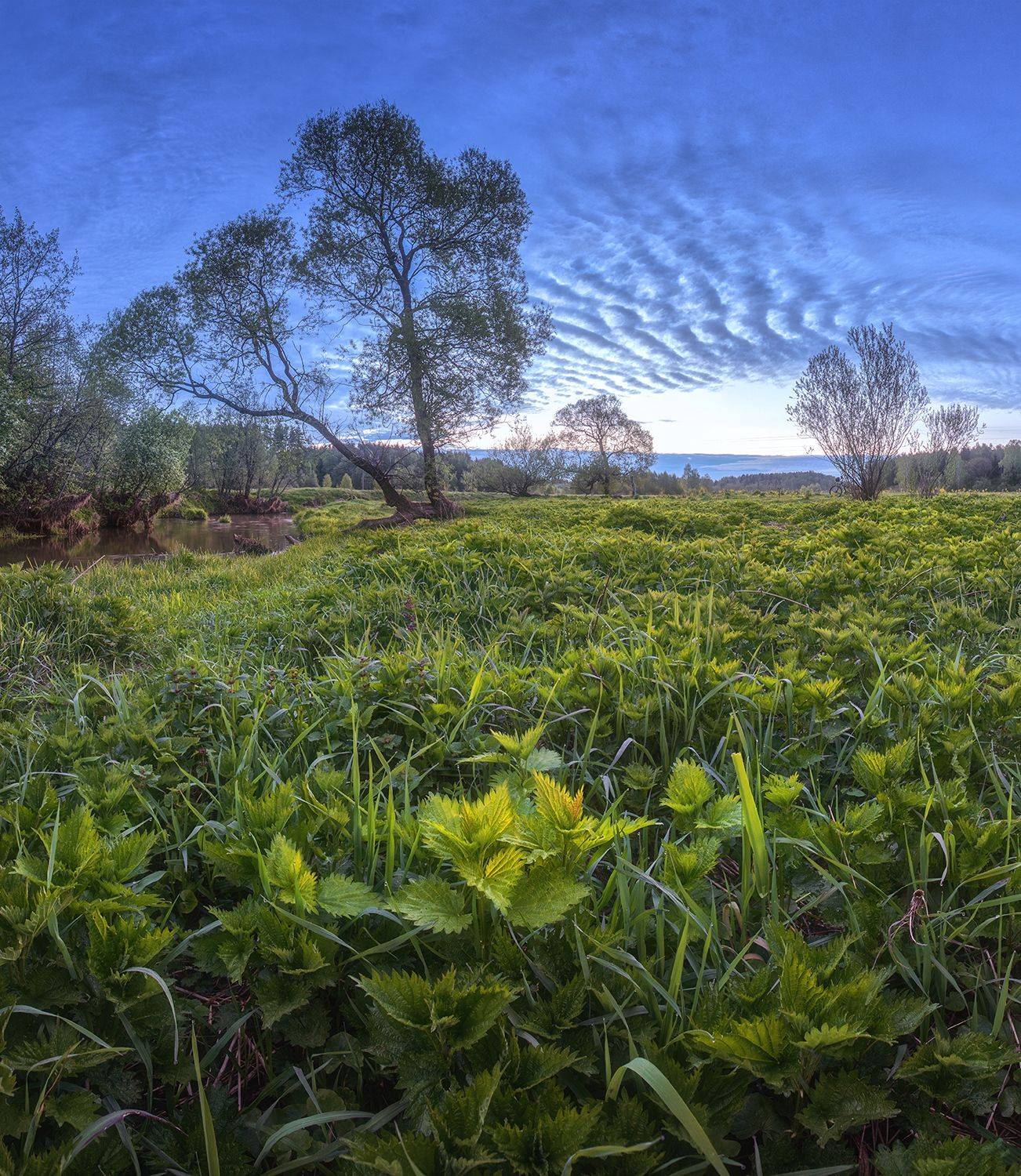 , Николай Андреев