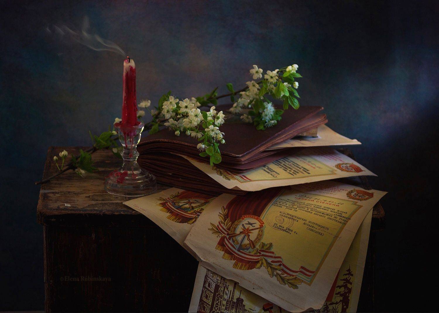 , Елена Рубинская