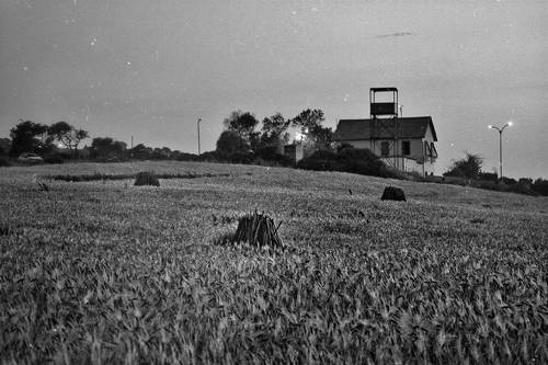 Old farm