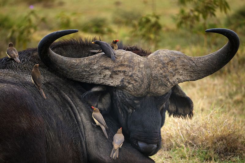 Friends фото превью