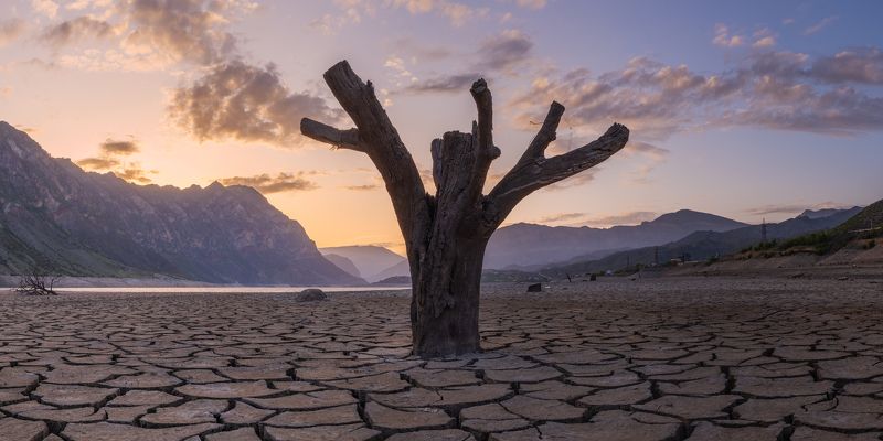 дагестан, кавказ, россия, дерево, природа, пейзаж, закат, горы, dagestan, caucasus, russia, tree, nature, landscape, sunset, mountains, dji На дне фото превью
