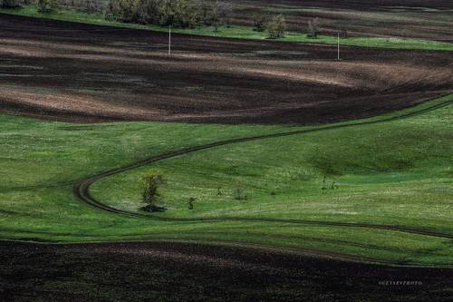 Оренбургское поле