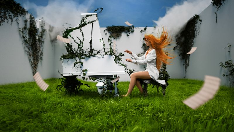 Музыка жизни фото превью