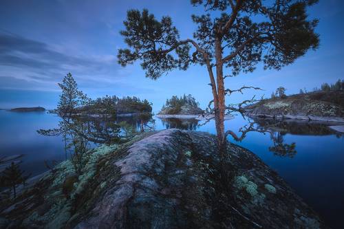 Blue magic