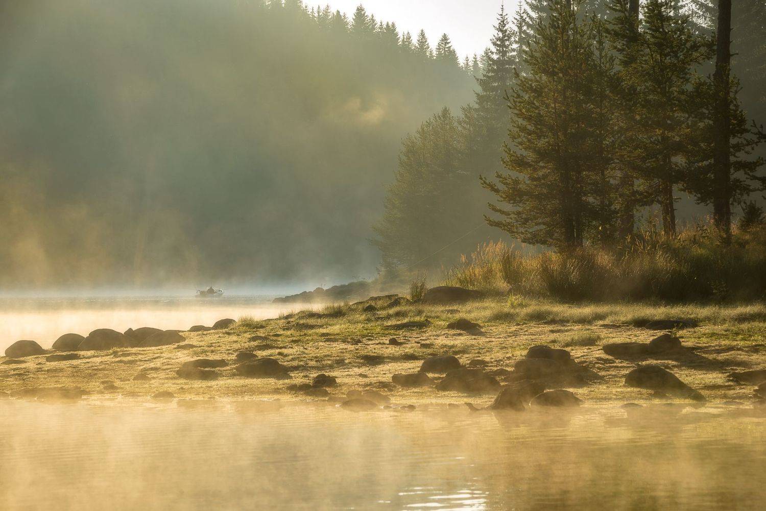 , Mariyana Atanasova - Lucero