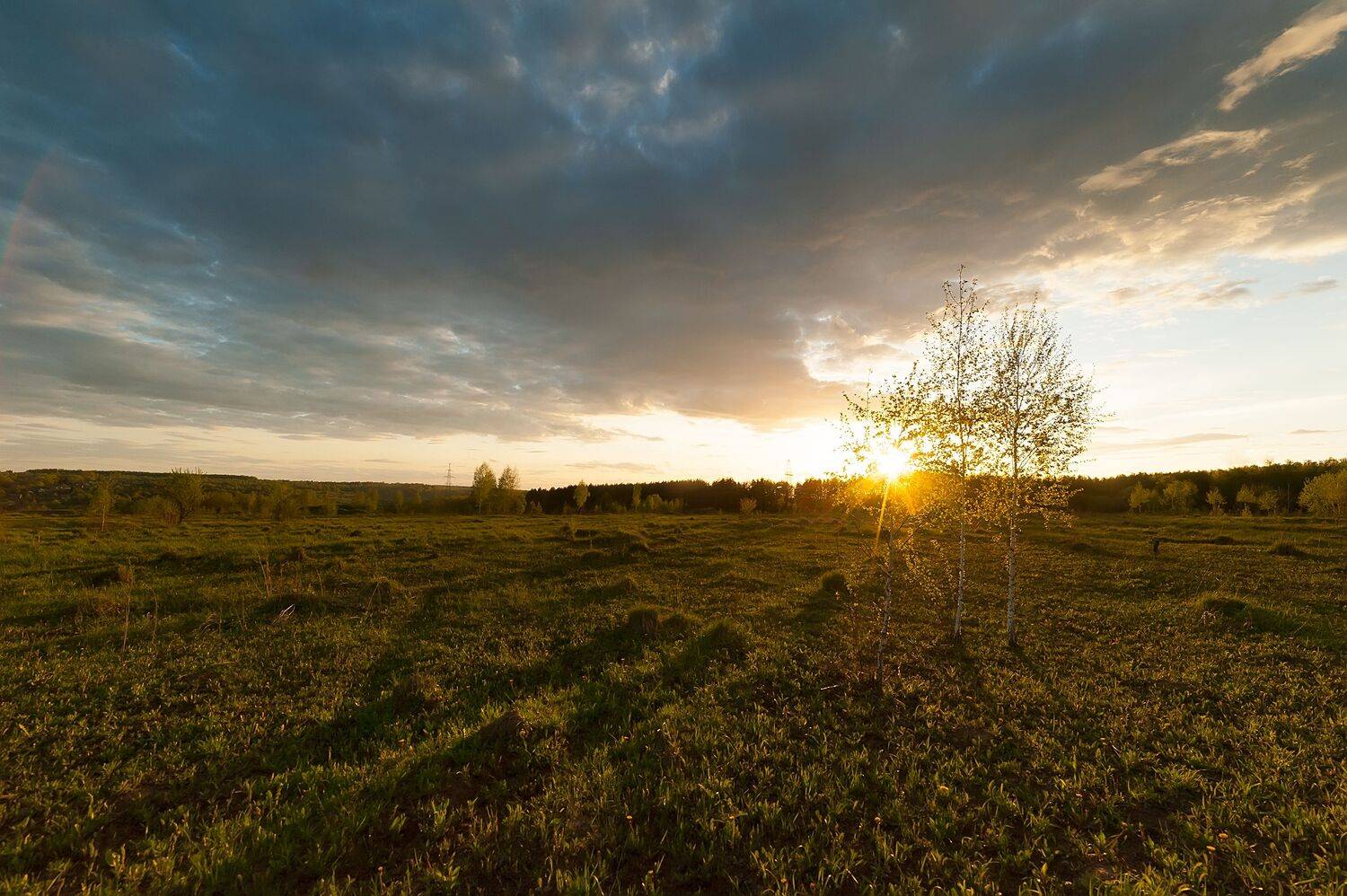 , Виталий Стрельцов