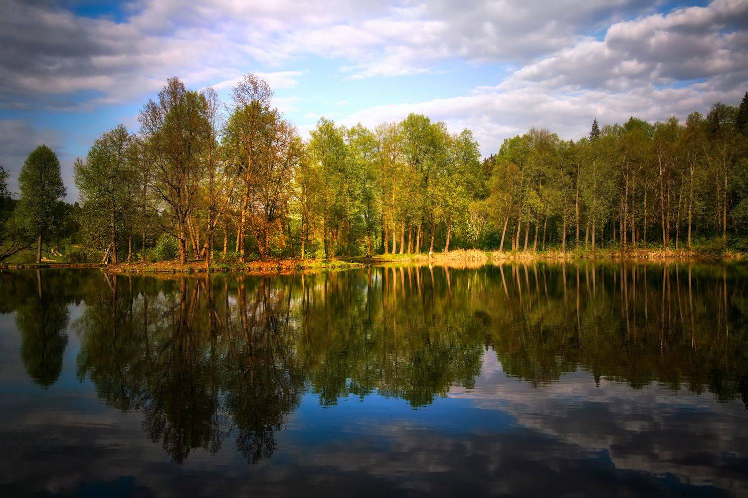 , Булатов Дмитрий