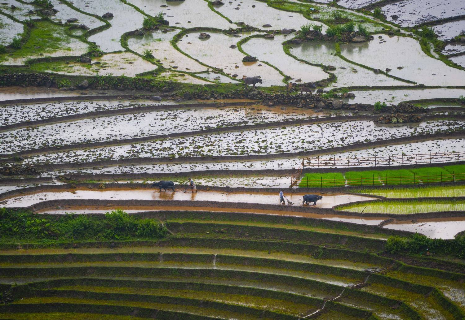 , vannguyenhop29@gmail.com