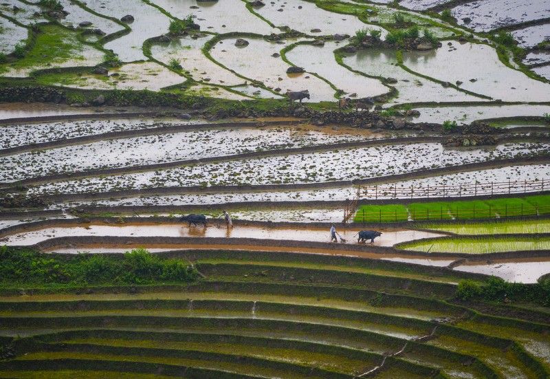 Plowing, in the rain фото превью