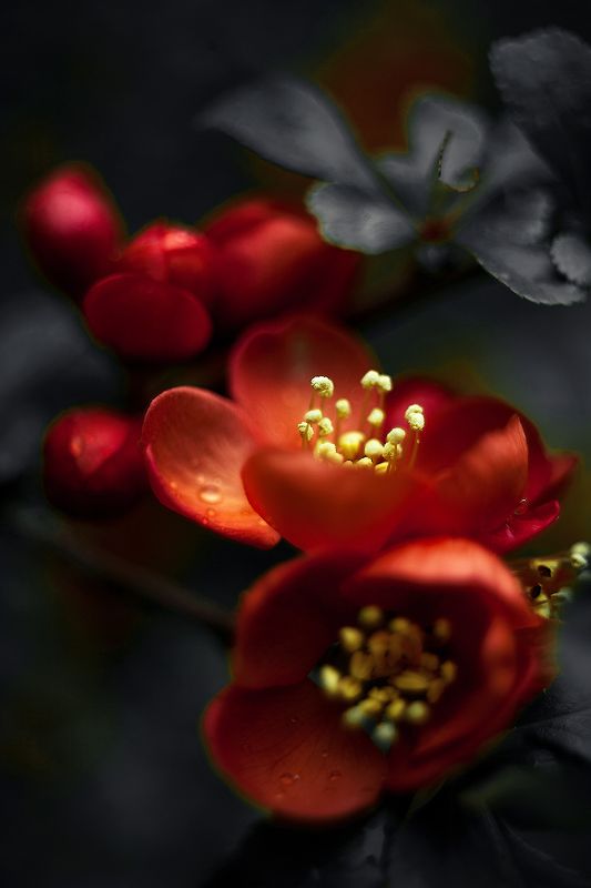 AIWA фото превью