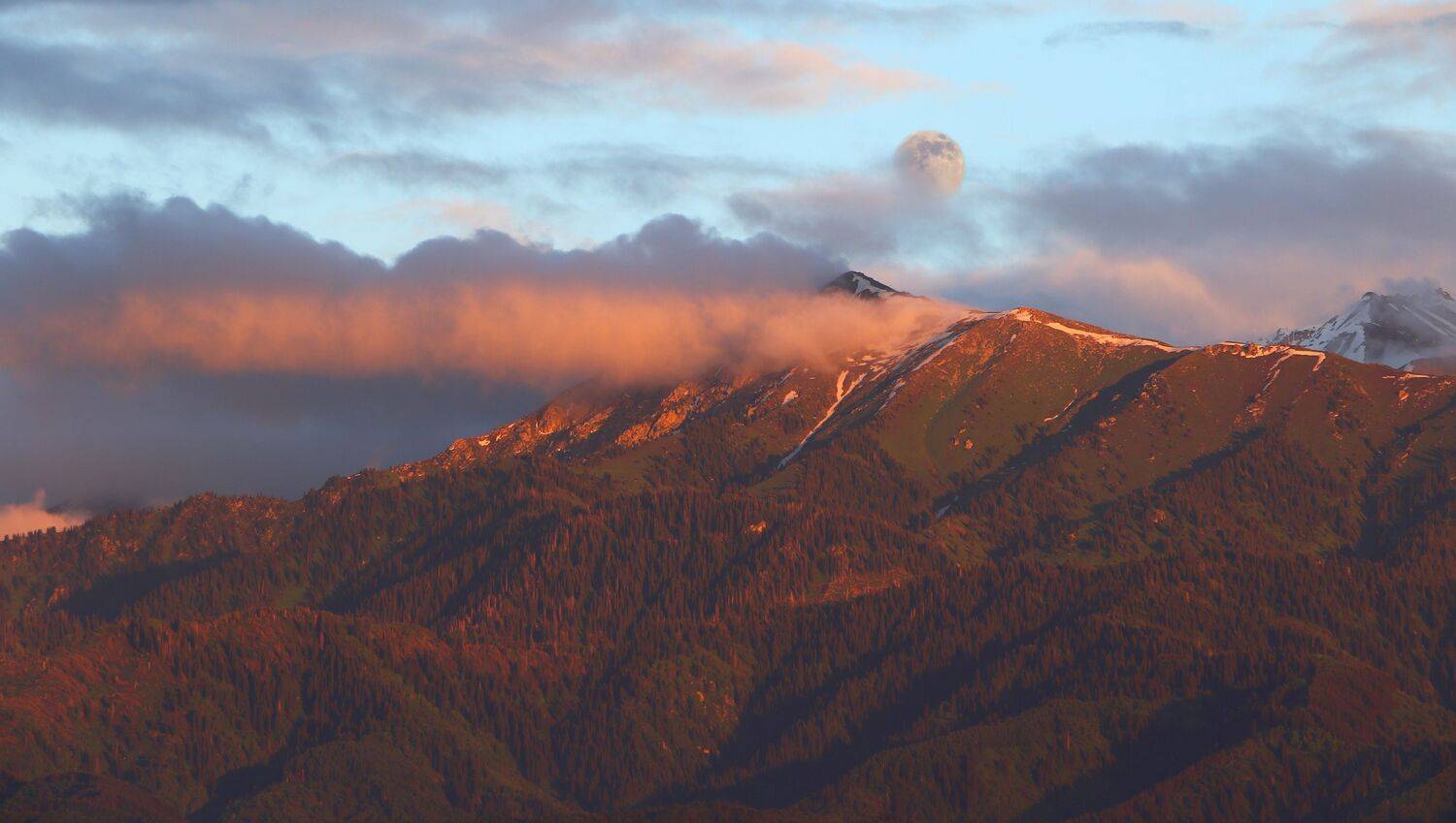 природа, шаварёв, фотография, камбурян,, Александр Шаварёв