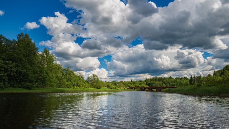 Июнь. фото превью