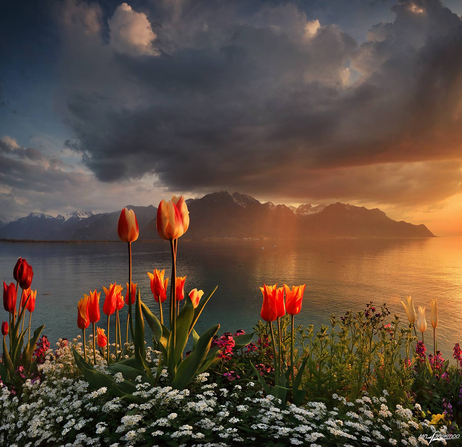 swiss,montreux,швейцария,весна, Матвеев Николай