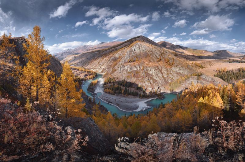 Аргут, Алтай, осень *** фото превью