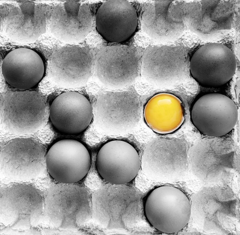 Eggs фото превью