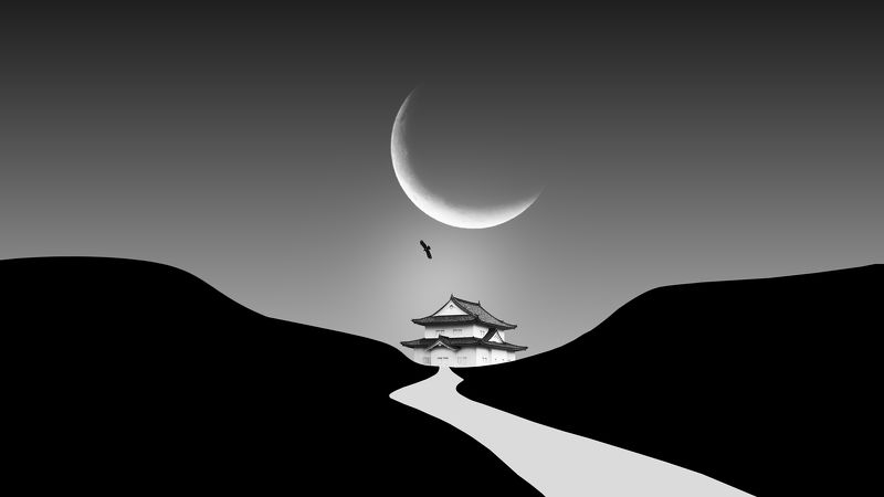 The Sound of Tranquility фото превью