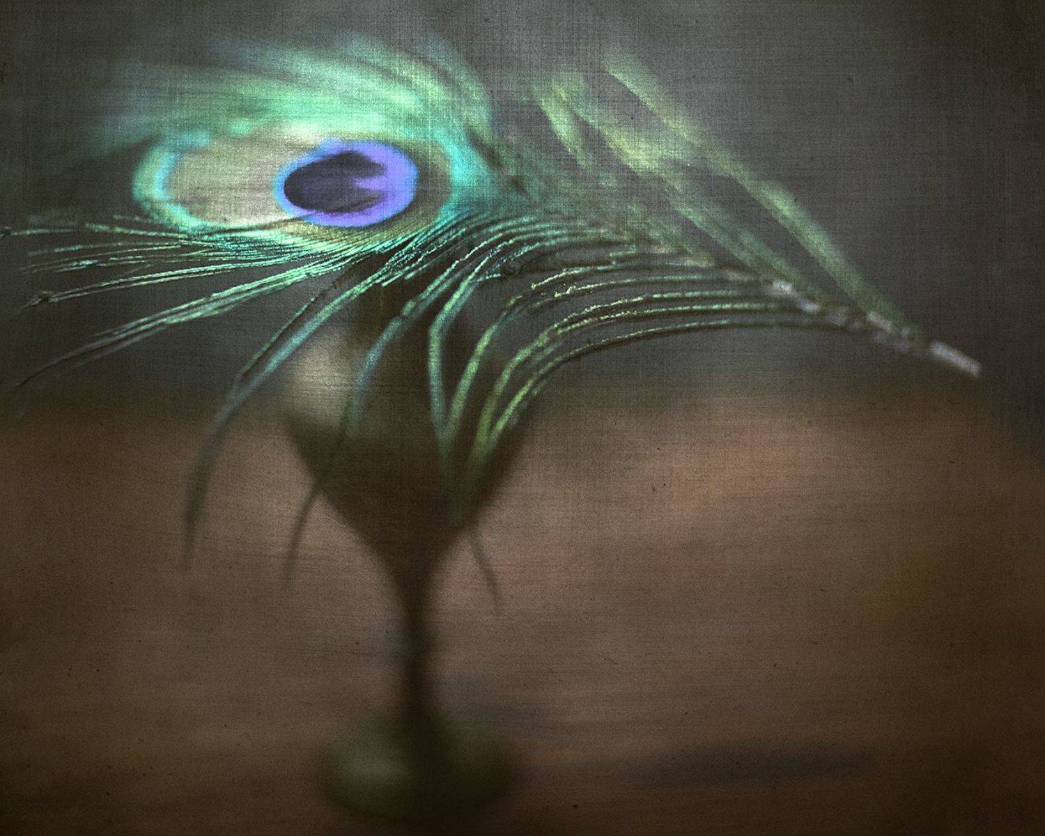 , Татьяна Аверина