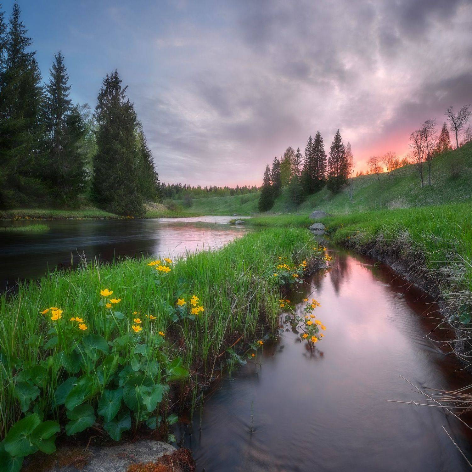 речка, ленобласть, закат, Марголин Алексей