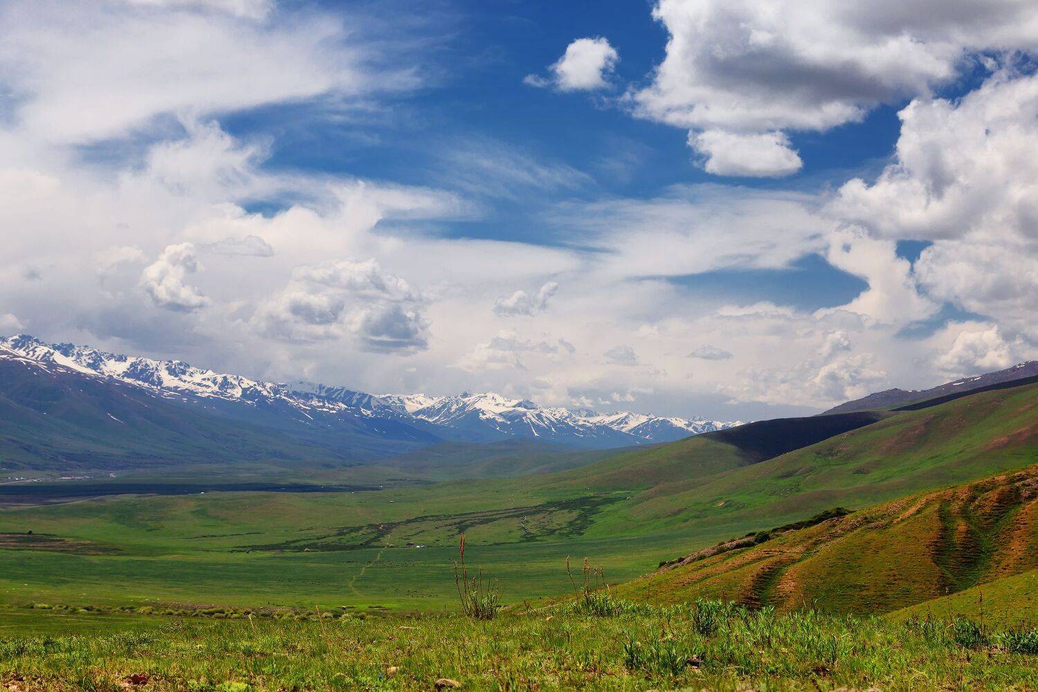 кыргызстан,горы, суусамыр, Элина Магалимова