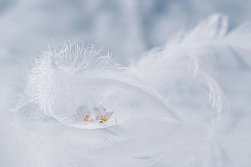 melancholy of spring