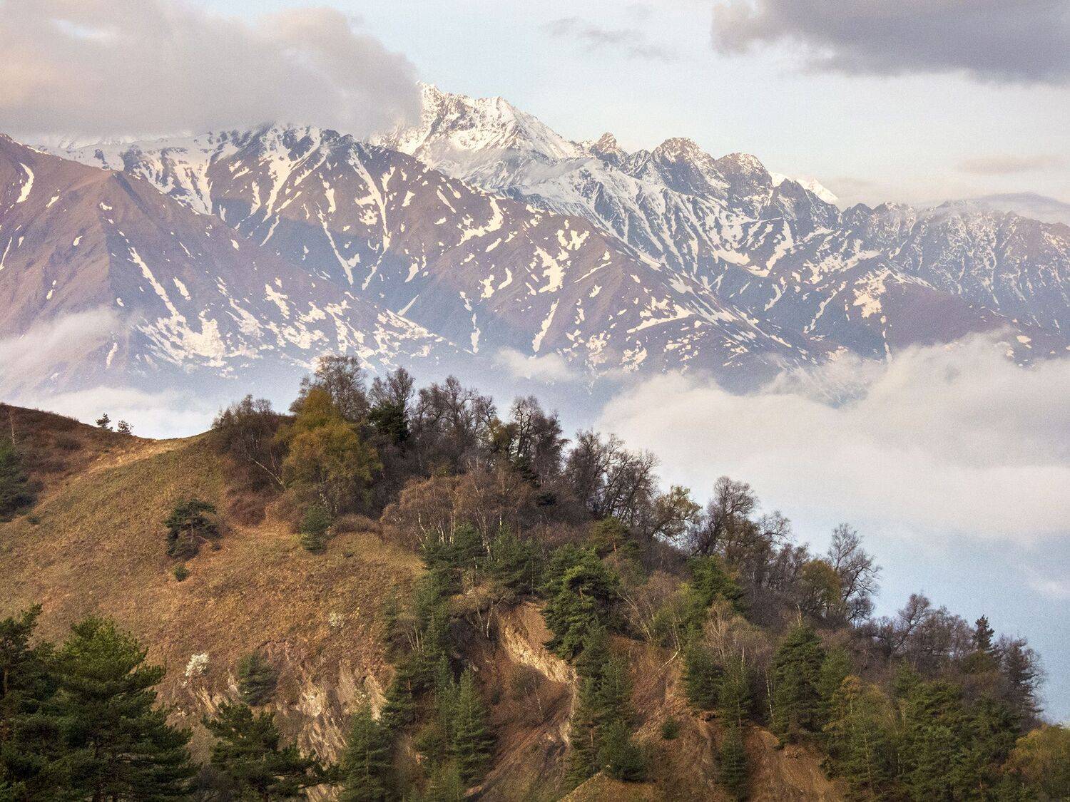 горы, ингушетия, рассвет, Лесина Елена