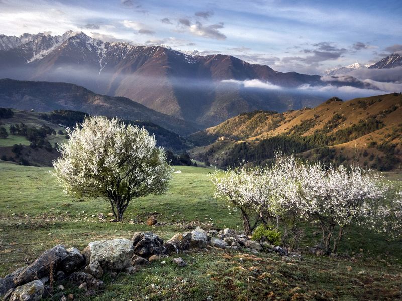 Ингушетия фото превью