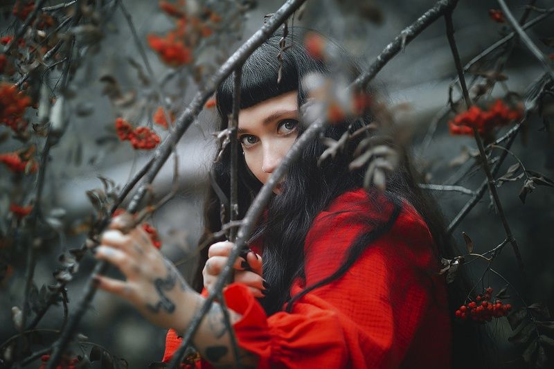 фото превью