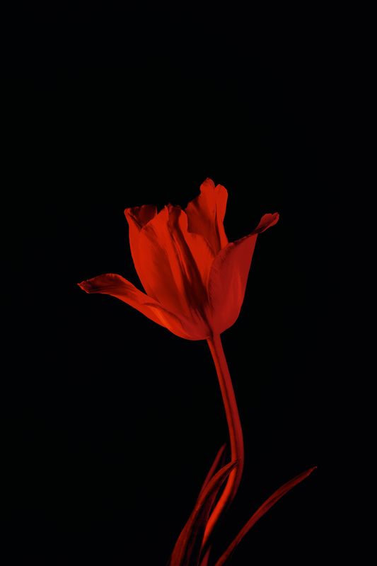 ... фото превью