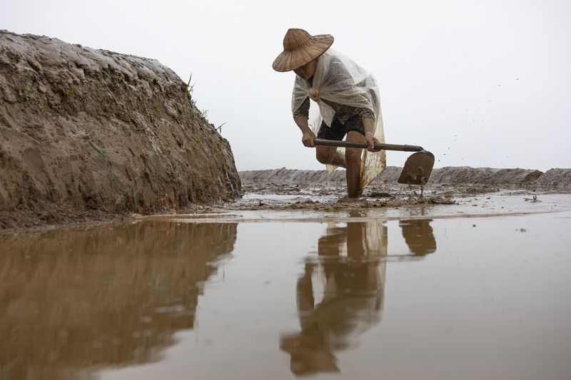 life фото превью