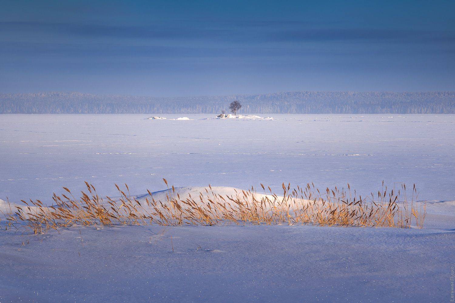 , Евгений Луцко