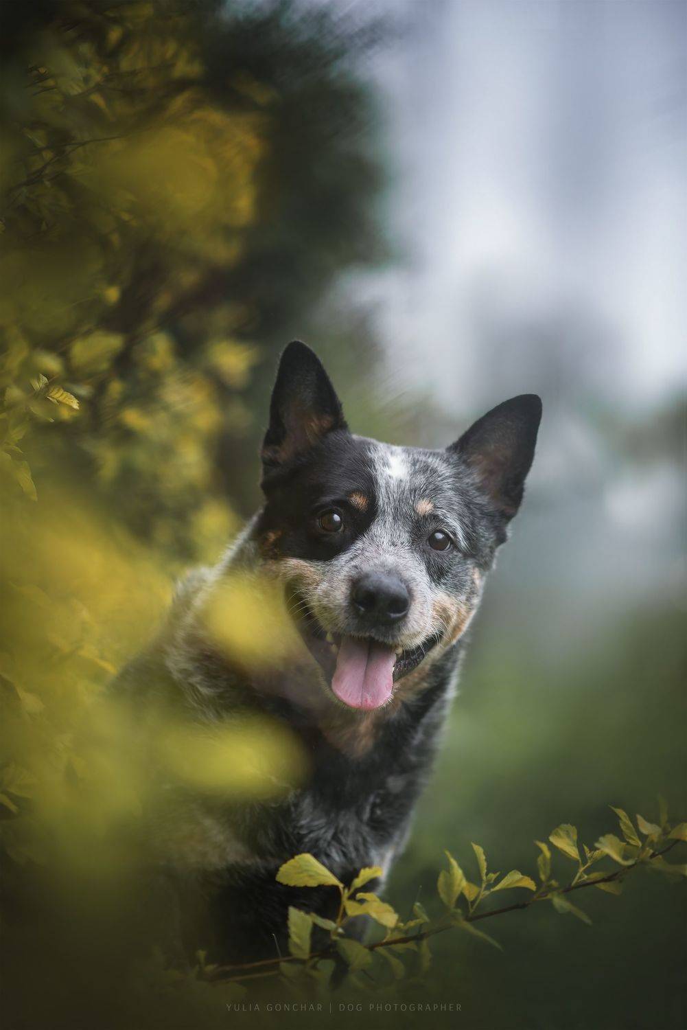 , Юлия Гончар