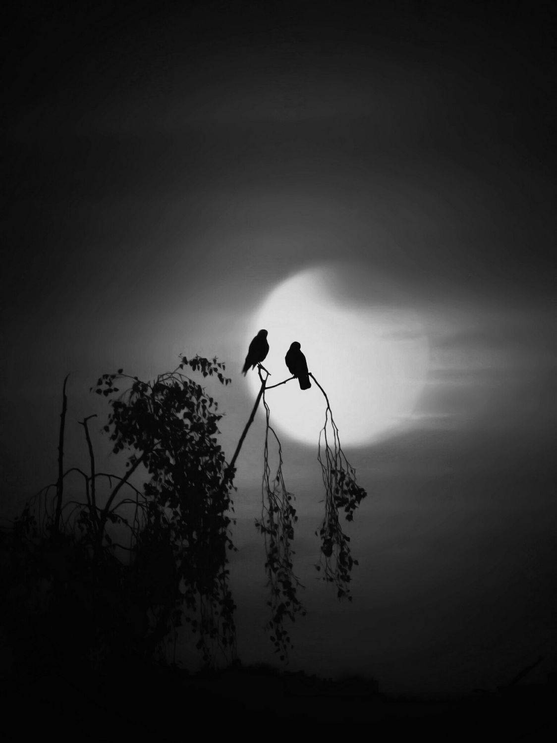 , Татьяна Максакова