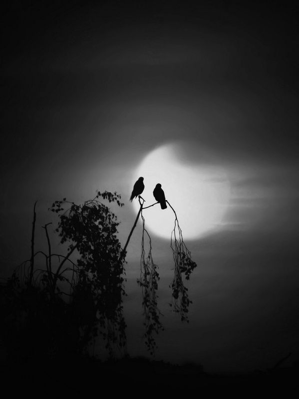 Парочка фото превью