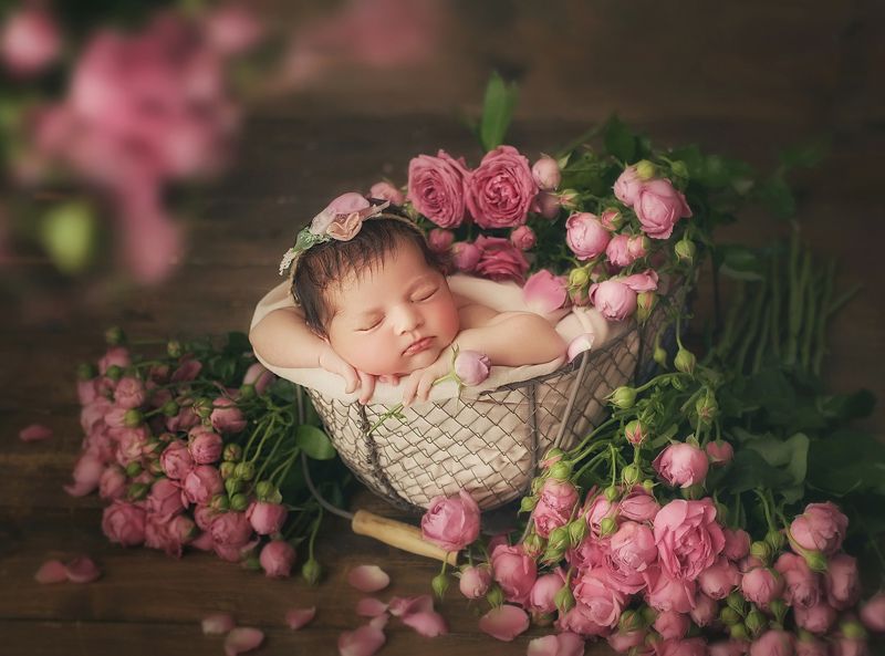 фото превью