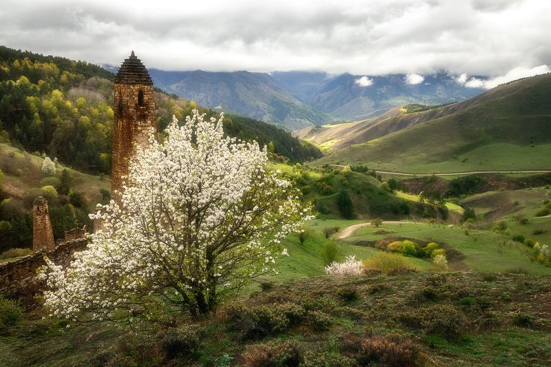 Ингушетия фото превью