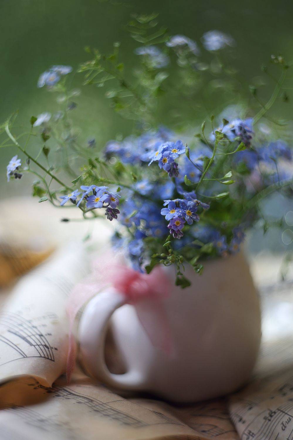 незабудки, мелодии весны, старый обьектив, гелиос 44,ноты, молочник,беларусь,краски весны,ирина горюкина,макро, Горюкина Ирина